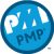 PMP-certification-logo